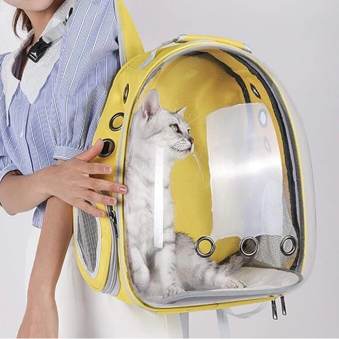 Kedi ve Köpek Taşıma Çantası - Şeffaf, Hava Alan Büyük Boy Kedi ve Köpek Sırt Çantası