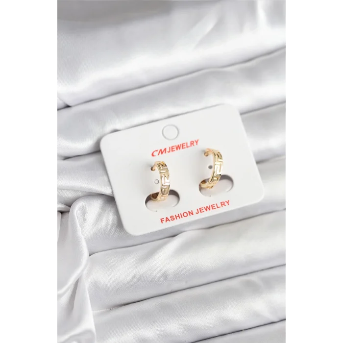 14K Gold Renk Kaplama CM Kadın Küpe