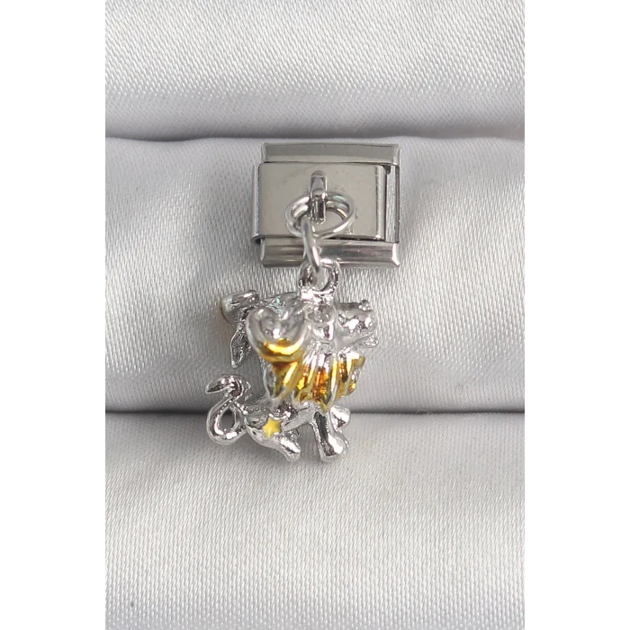 316L Çelik Gümüş Renk Sallantı Aslan Model Nomination Charm