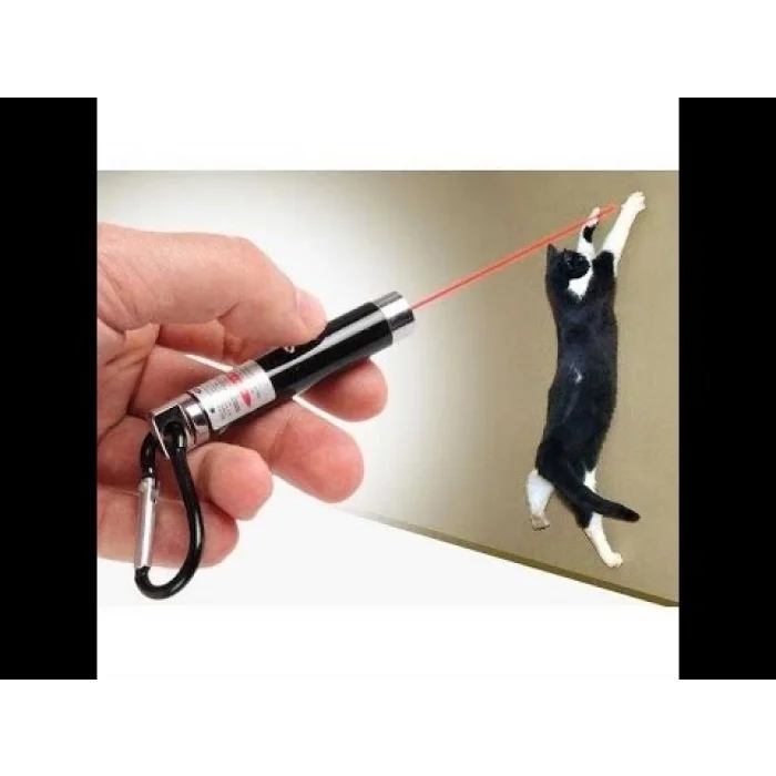 4 Yedek Başlıklı Pilli Kedi Oyuncağı Lazer Anahtarlık