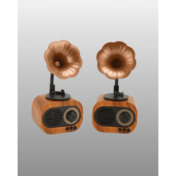 B5 RADYO