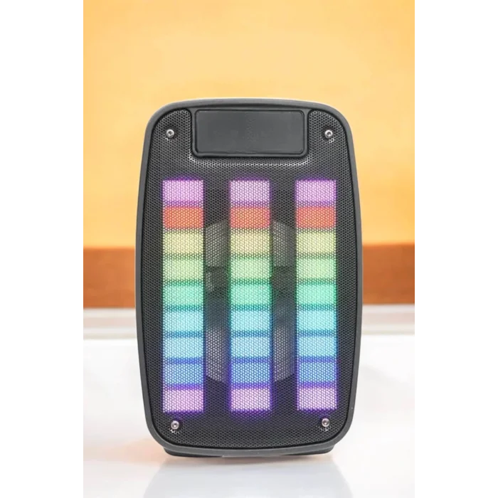 Kablosuz Bluetooth Hoparlör Taşınabilir 6.5 inç LED Işık Kareoke