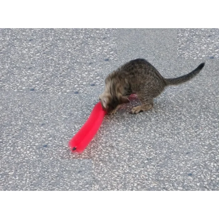 Kedi Tırmalama Fırçası - Kedi Oyuncağı