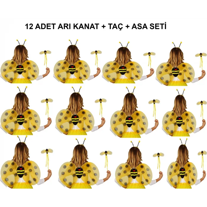 Okul Gösterileri için 12li Arı Kanadı Seti - Etkinlik Kanatları