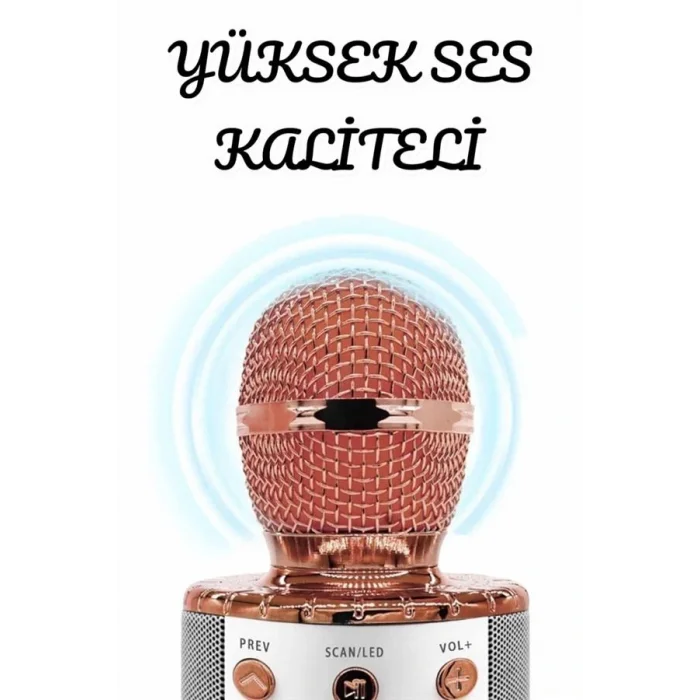 Şarjlı ve Uzun Pil Ömürlü Karaoke Mikrofon USB Bellek Destekli, Profesyonel Ses