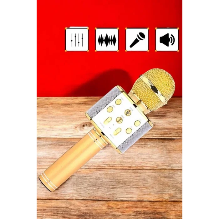 Şarjlı ve Uzun Pil Ömürlü Karaoke Mikrofon USB Bellek Destekli, Profesyonel Ses