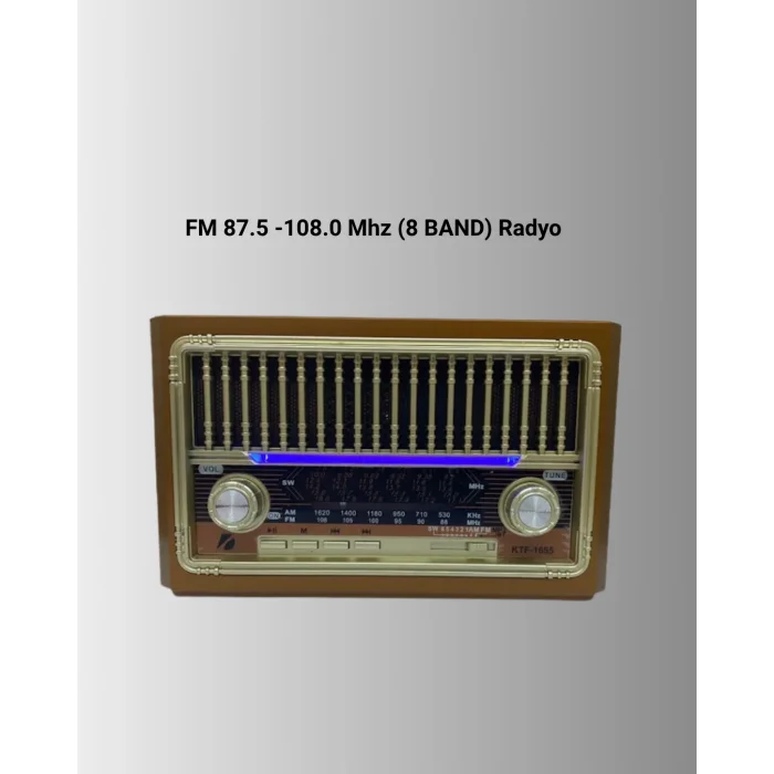 USB ve Hafıza Kart Girişli Radyo Hoparlör