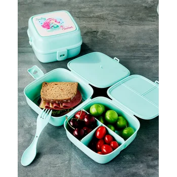 4 Bölmeli Çatallı Beslenme Kabı - Diyet Kabı Karışık Renklerdedir