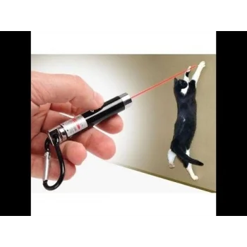 4 Yedek Başlıklı Pilli Kedi Oyuncağı Lazer Anahtarlık