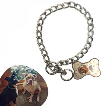 65 cm Uzunlukta Zincir Model Köpek İçin Boyun Tasması (5047)