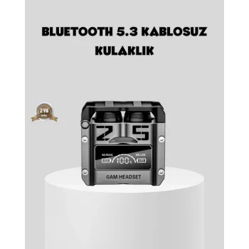 Gürültü Engelleyici Kablosuz Bluetooth Kulaklık – Oyun ve Müzik İçin Profesyonel Ses