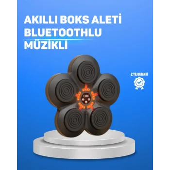 Müzikli Boks Duvar Paneli Akıllı Işık Sistemli Refleks ve Kondisyon Aleti