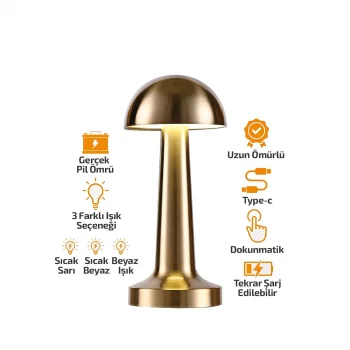 OVAL - METAL MANTAR MASA LAMBASI DOKUNMATİK - RENKLİ TYPE-C ŞARJLI 3 FONKSİYONLU YL86-1231 (5047)