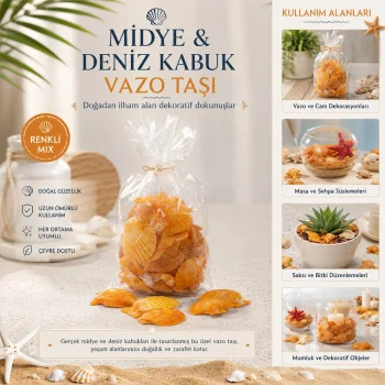 POŞETLİ RENKLİ MİX MİDYE - DENİZ KABUK VAZO TAŞI (5047)