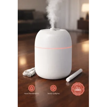 Sessiz Ultrasonik Hava Nemlendirici 220ml Buhar Makinesi Gece Lambalı Usb Ofis Ev Tipi