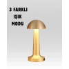 %100 Kademeli Ayarlanabilir Işık – USB Şarjlı Masa Lambası