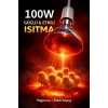 100W Isıtıcı Ampul Kırmızı Isı Lambası Civciv Kümes Kuluçka E27 Duy Isıtma Ampulü