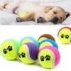 3'lü Renkli Desenli Tenis Topu Kedi Köpek Oyuncağı (5047)