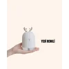 ABS+PP Malzemeli Taşınabilir 220 ml USB Mist Nemlendirici