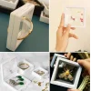 9x9 cm Standlı 3D Takı Ziynet Hatıra Koleksiyon Saklama Kutusu Şeffaf Film Çerçevesi (5047)
