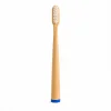 AHŞAP - BAMBU MAVİ SAP - AYAKLI DİŞ FIRÇASI (5047)