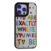 Apple İphone 15 Pro Max Kılıf Mirror Desenli Kapak - Mirror - 10