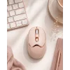 Bluetooth ve 2.4G Destekli Sessiz Kablosuz Mouse Şarjlı Tasarım