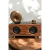 Çalar Radyo Müzik Kutusu Nostaljik Hoparlör Speaker