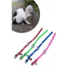 Çıngıraklı Zilli Sevimli Renkli Slikon Kedi Köpek Boyun Tasması (5047)