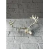 Dekoratif Geyik Başı Heykel 25 cm Modern Minimal Tasarım
