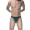 Erkek Fantezi Tanga