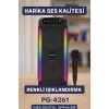 Ev ve Dış Mekan Kullanımına Uygun RGB Işıklı Hoparlör