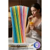 Gökkuşağı Serisi: 100’lü Esnek Körüklü Lüx İçecek Pipeti – 22 cm Premium Sunum Seti