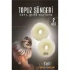 GOLD Mini Saç Topuz Süngeri  2 ADET 6 CM Çap 2.5 cm Kalınlık 721878