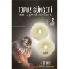 Gold Mini Saç Topuz Süngeri  2 Adet 6 Cm Çap 2.5 Cm Kalınlık 721878