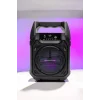 Kablosuz 6.5 İnç TWS Bluetooth Hoparlör