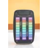Kablosuz Bluetooth Hoparlör Taşınabilir 6.5 inç LED Işık Kareoke