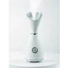 Nano İyonik Yüz Buhar Makinesi
