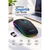 Pg9009 MOUSE