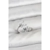 Pirinç Gümüş Renk Kelebek Model Kadın Yüzük