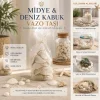 POŞETLİ RENKLİ MİX MİDYE - DENİZ KABUK VAZO TAŞI (5047)
