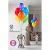 Premium Serisi 23 Cm Mat Lateks Balon Seti – 100’lü Profesyonel Etkinlik Paketi
