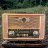 Retro, Nostaljik, Ahşap Tasarım Bluetooth Hoparlörlü, Şarjlı, Taşınabilir Otantik Tasarımlı FM/AM Destekli Radyo NS8098 (5047)