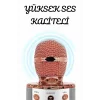 Şarjlı ve Uzun Pil Ömürlü Karaoke Mikrofon USB Bellek Destekli, Profesyonel Ses