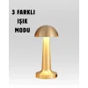 Taşınabilir Dokunmatik LED Lamba – Sıcak & Soğuk Işık Ayarı
