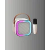 Taşınabilir Karaoke Mikrofon Seti Bluetooth Hoparlörlü