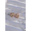XUPİNG Rose Renk Oval Zirkon Taşlı Burgu Model Küpe