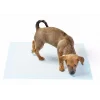 Yıkanabilir Köpek Çiş Pedi - 100 X 100 Cm 5li Paket