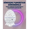 Yıldız Gökyüzü Efektli Çok Modlu Gece Işığı