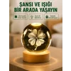 Yonca Figürlü Cam Küre USB Işıklı Ahşap Tabanlı Dekoratif Masa Lambası